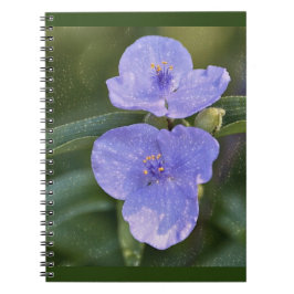 Blue Wildblomma Anteckningsbok Med Spiral