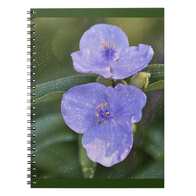 Blue Wildblomma Anteckningsbok Med Spiral (Framsidan)