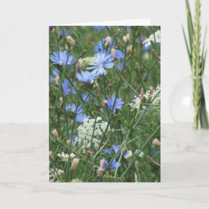 Blue Wildblommor Kort