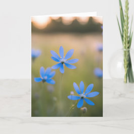 Blue Wildblommor Sympathy Kort