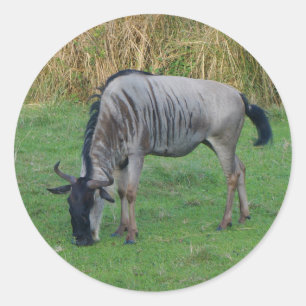 Blue Wildebeest #1 Stickers Runt Klistermärke
