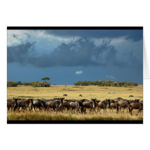 Blue Wildebeest (GNU) Masai Mara Kenya-kort Hälsningskort