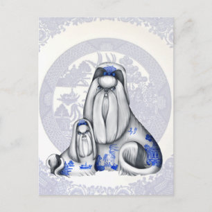 Blue Willow Shih Tzus vycard Vykort
