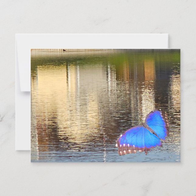 Blue Wing Reflection Magnetisk Inbjudningskort (Framsida)