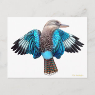 Blue Winged Kookaburra vykort