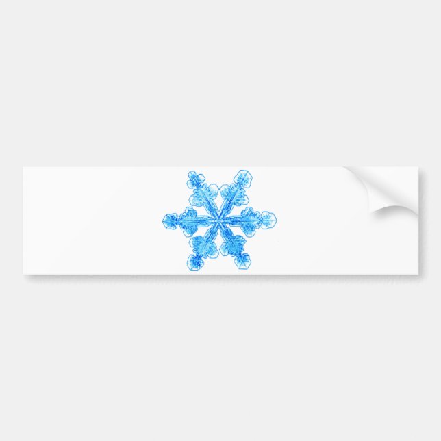 Blue Winter Snowflake Bildekal (Framsidan)