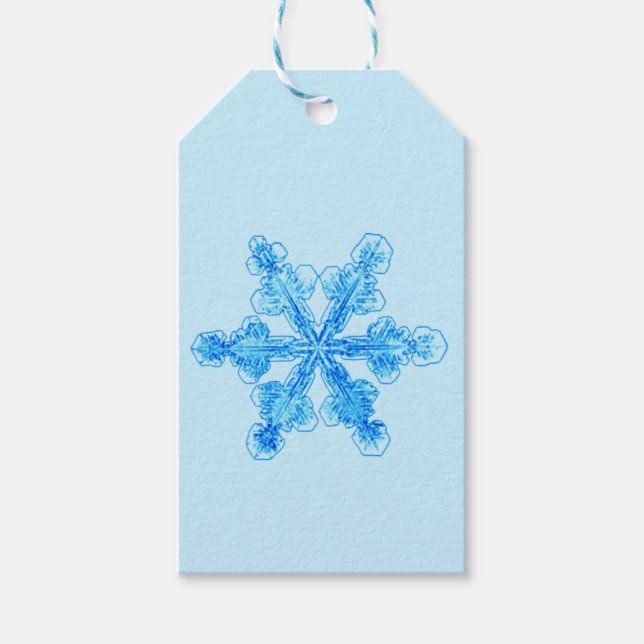 Blue Winter Snowflake Presentetikett (Framsidan)