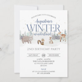Blue Winter Wonderland Birthday, Boy 2 Birthday Inbjudningar