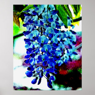 Blue Wisteria Poster