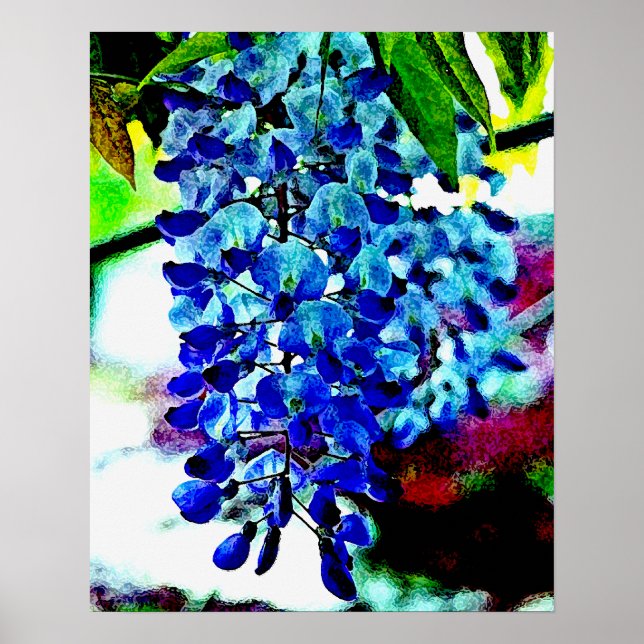 Blue Wisteria Poster (Framsidan)
