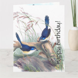 Blue Wren Birds Blommigt Wildlife Flowers Birthday Kort