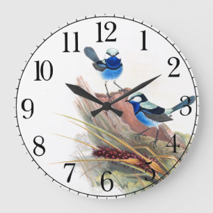 Blue Wren Birds Wildlife Animals Wall Clock Stor Klocka