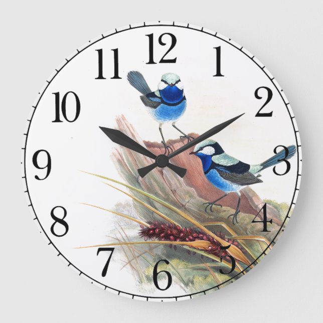 Blue Wren Birds Wildlife Animals Wall Clock Stor Klocka (Framsida)