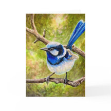 Blue Wren -