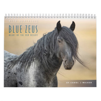 Blue Zeus: Hjärtat i Red Desert Calendar Kalender