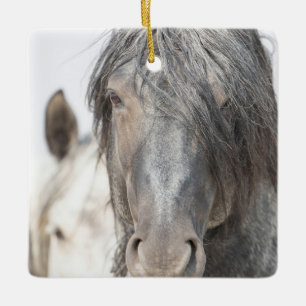 Blue Zeus och Iris Vild Hoofbeats Ornament