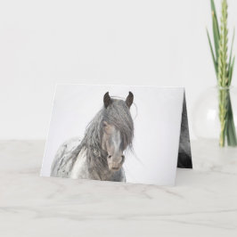Blue Zeus Porträtt Vild Horse Greeting Card Tack Kort