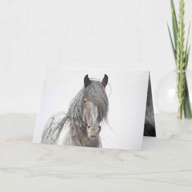 Blue Zeus Porträtt Vild Horse Greeting Card Tack Kort (Framsida)