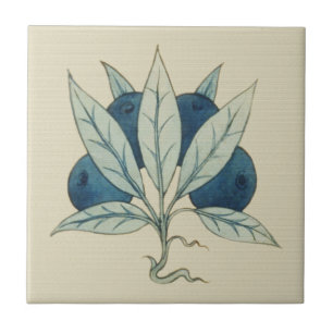 Bluebär William De Morgan Kakelplatta