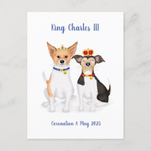 Bluebell & Beth Jack Russells Coronation-vykort Vykort