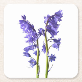 Bluebell Fabric Mönster. Underlägg Papper Kvadrat