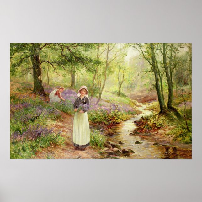 Bluebell Glade Poster (Framsidan)