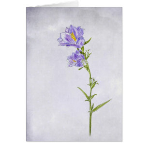 Bluebell Painting OBS Kort