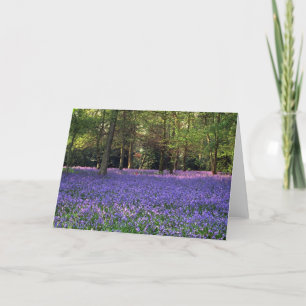 Bluebell Skogen, England Kort