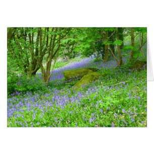 Bluebell Skogen Hälsningskort