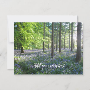 Bluebell Skogen i Evening Sunshine - Personligen Vykort