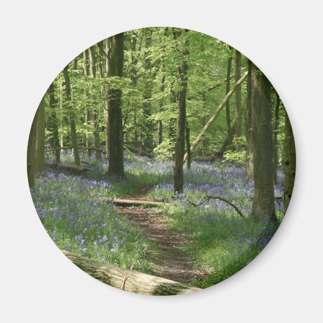 Bluebell skogen magnet (Framsidan)