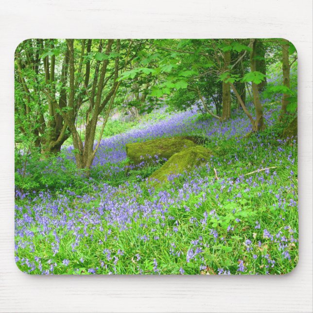 Bluebell Skogen Musmatta (Framsidan)
