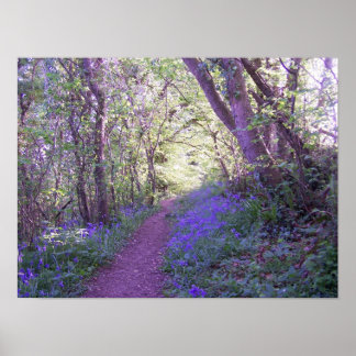 Bluebell Skogen Print Poster