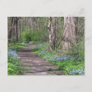Bluebell Väg Vykort