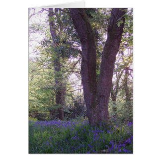Bluebell Walk Hälsningskort