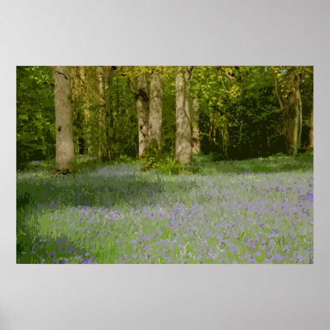 BLUEBELL WOOD 2 POSTER (Framsidan)