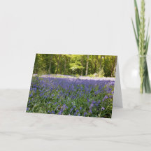 Bluebell Wood Foled Hälsning Card