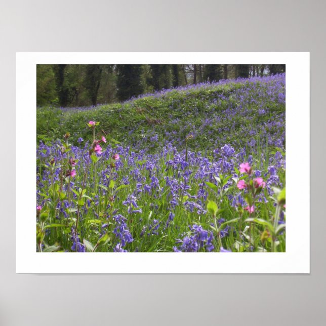 Bluebell Wood Print Poster (Framsidan)