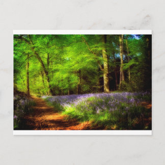 Bluebell wood vykort