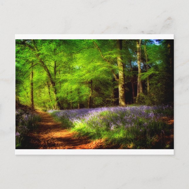 Bluebell wood vykort (Framsida)