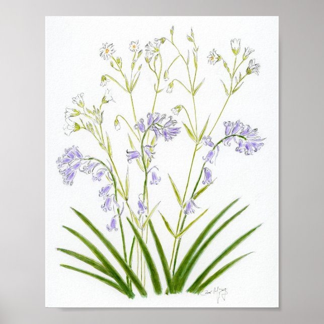 Bluebells and Stitchwort Poster (Framsidan)