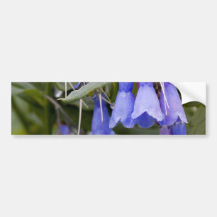 Bluebells Bildekal