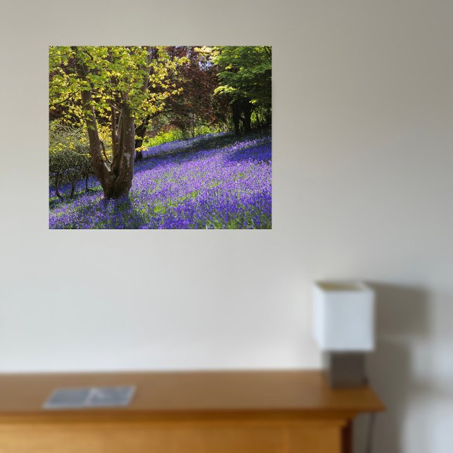 Bluebells Canvastryck (Skapare uppladdad)