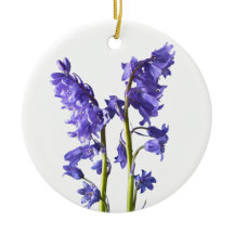 Bluebells, från just Skogen jag Skapat!