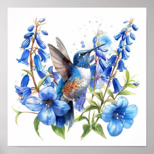 Bluebells Hummingbird Watercolor Skriv ut Poster