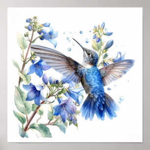 Bluebells Hummingbird Watercolor Skriv ut Poster