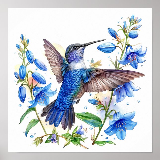 Bluebells Hummingbird Watercolor Skriv ut Poster (Framsidan)