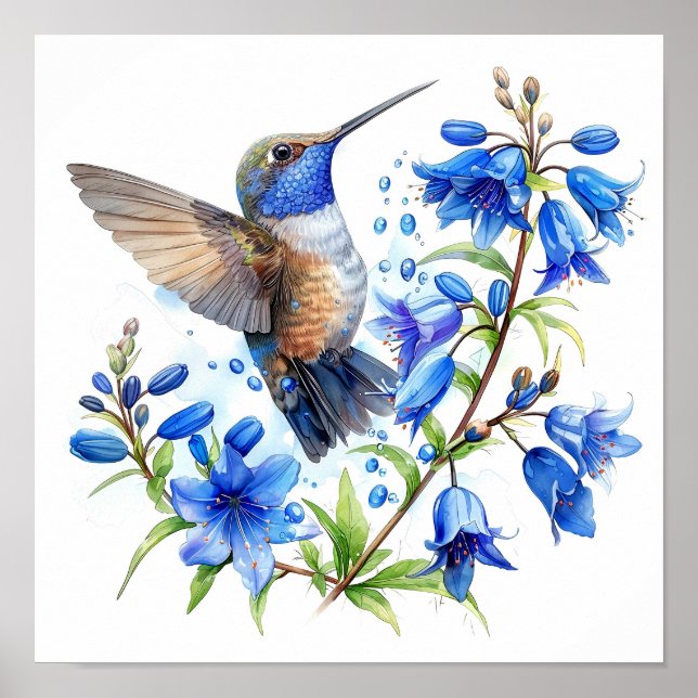 Bluebells Hummingbird Watercolor Skriv ut Poster (Framsidan)