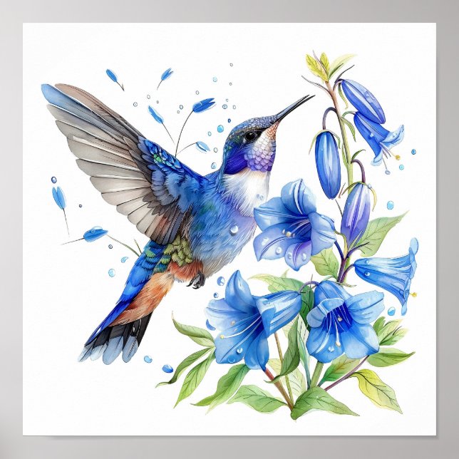 Bluebells Hummingbird Watercolor Skriv ut Poster (Framsidan)