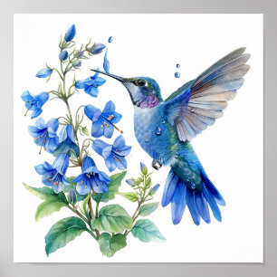 Bluebells Hummingbird Watercolor Skriv ut Poster